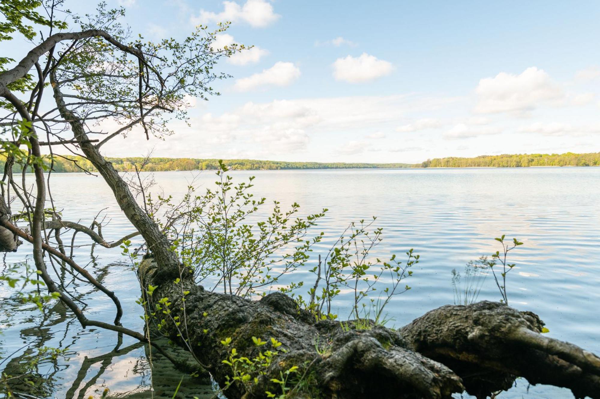 Budget Seezeit-Resort Am Werbellinsee Altenhof  Eksteriør bilde
